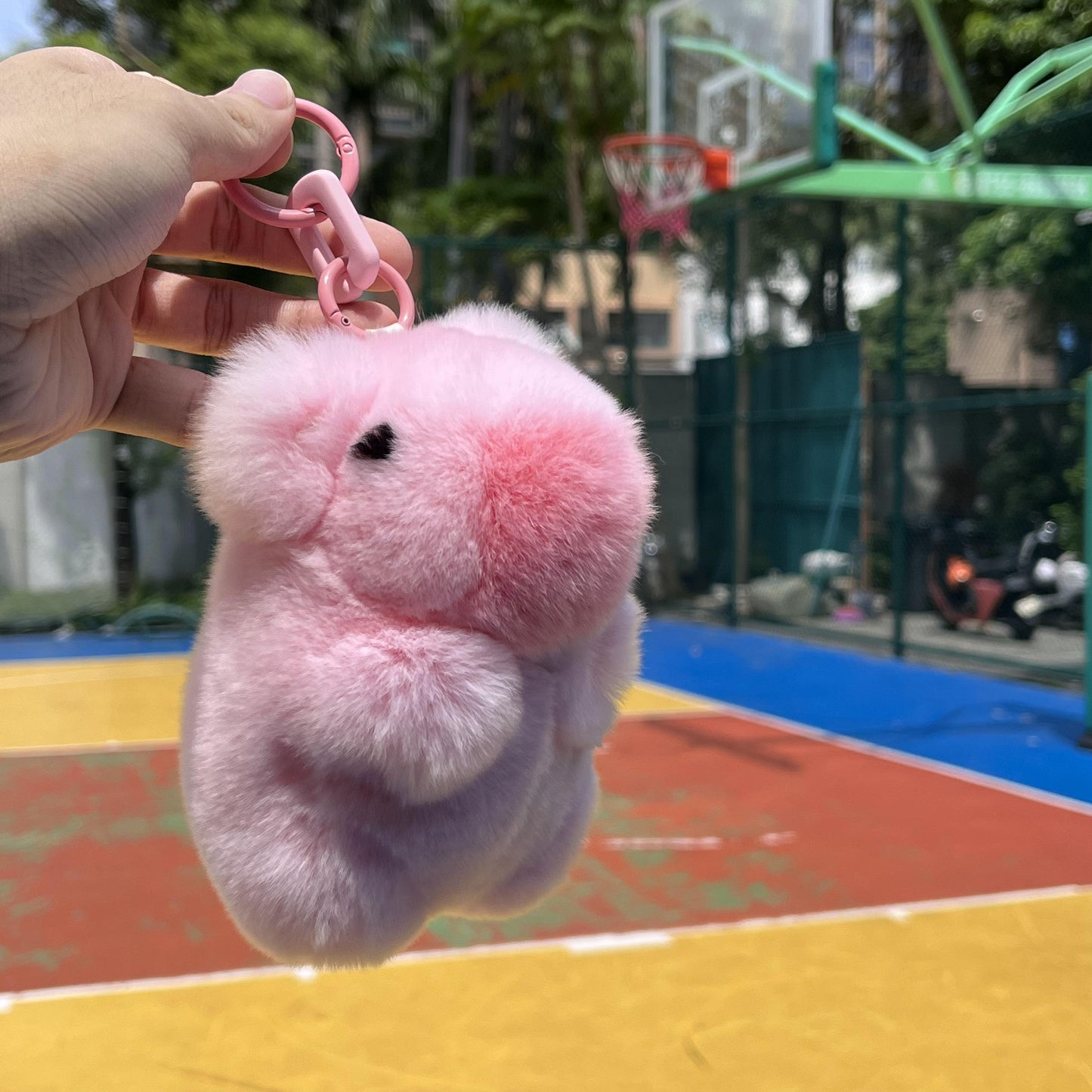 BunnyLulu Handmade Capybara PomPom Keychain with Designed Tin